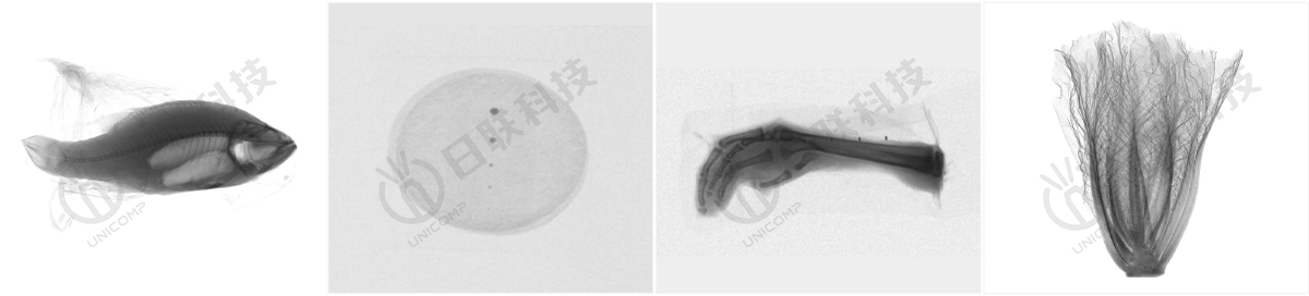 X-ray异物检测图-今年会